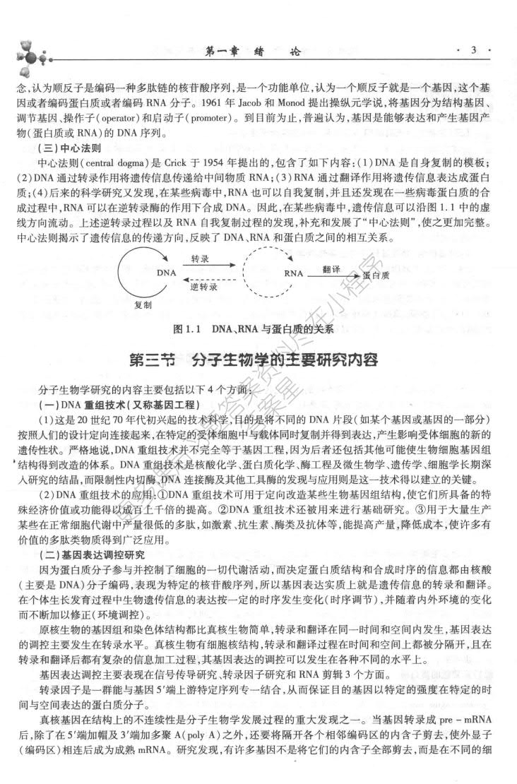 现代分子生物学（第4版）