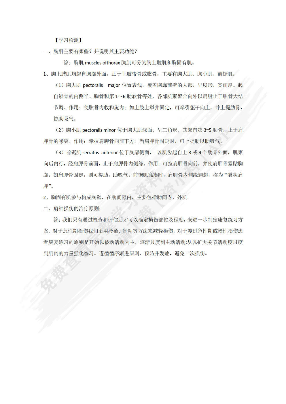人体形态